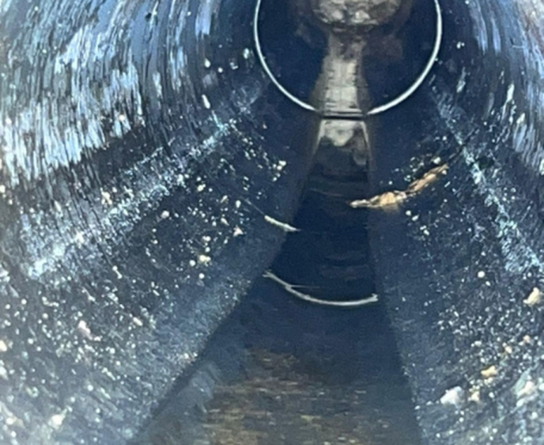 Limpieza y mantenimiento preventivo Pozarq360