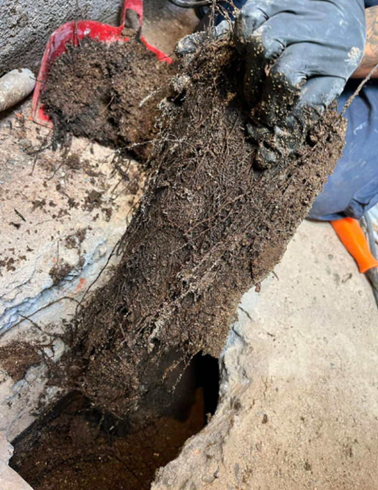 Obras mediante Zanja Pozarq360